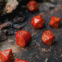 Dragons Modern - Set de dés - Rubis- Rouge - Doré - Qworkshop