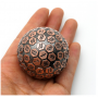 D100  - Metal - Plated  Ancient - Copper  - Udixi