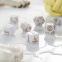 Dogs - Set de dés - Charlie - Qworkshop
